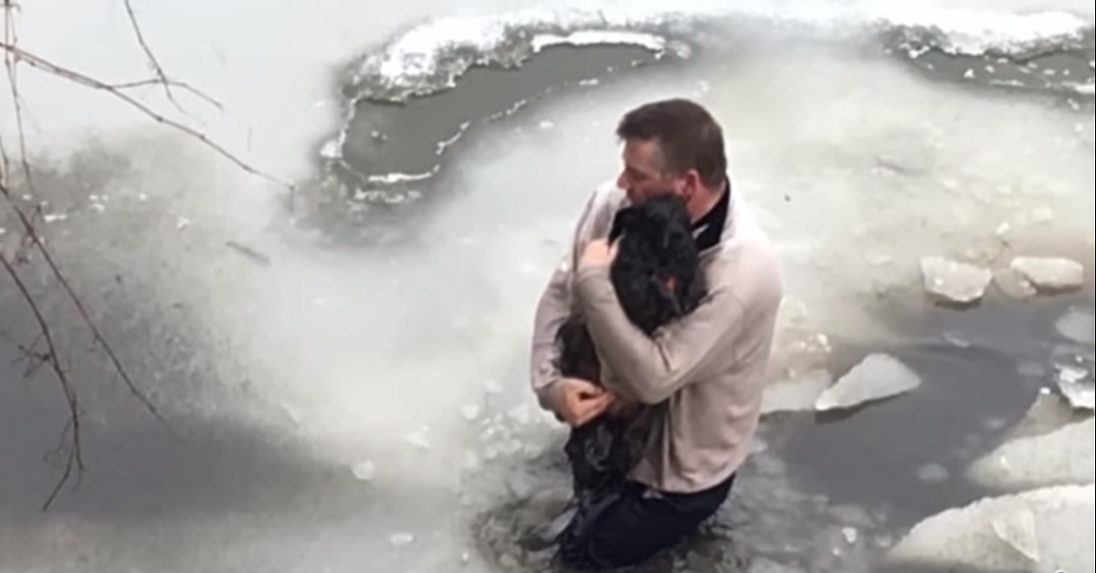 Il cane finisce nelle gelide acque del lago, un eroe si getta e lo salva