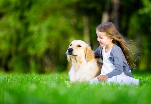 Come insegnare al cane a essere più socievole