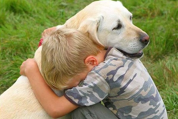 5 razze di cani per disabili: le migliori e le più adatte