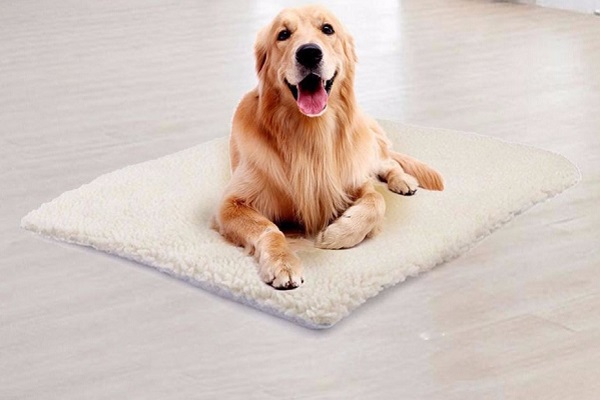 tappetino autoriscaldante per cane