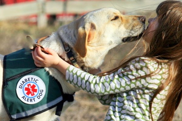 cane per diabetici