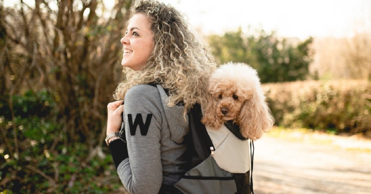 Zaino cupola per cani: un regalo speciale per il tuo quattro zampe