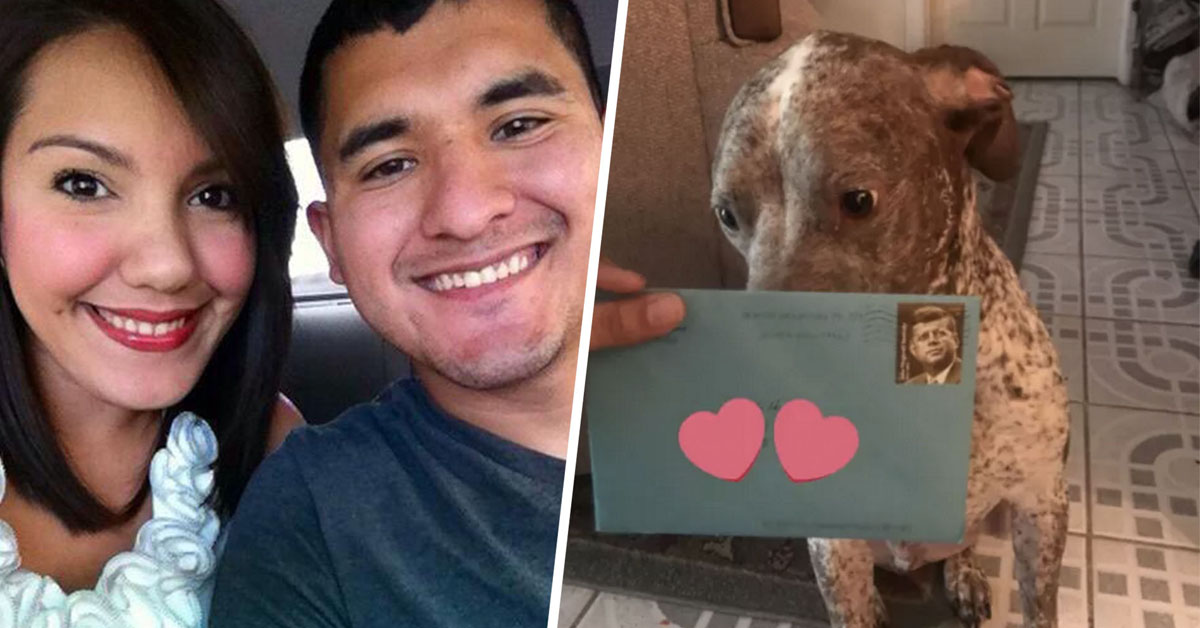 Apollo, il cane che ha fatto rinascere un amore finito