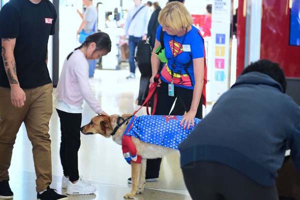 Cane da Pet Therapy in aeroporto
