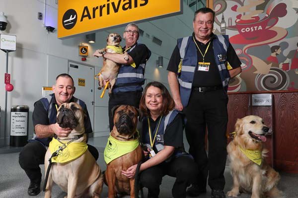 Cani da Pet Therapy in aeroporto
