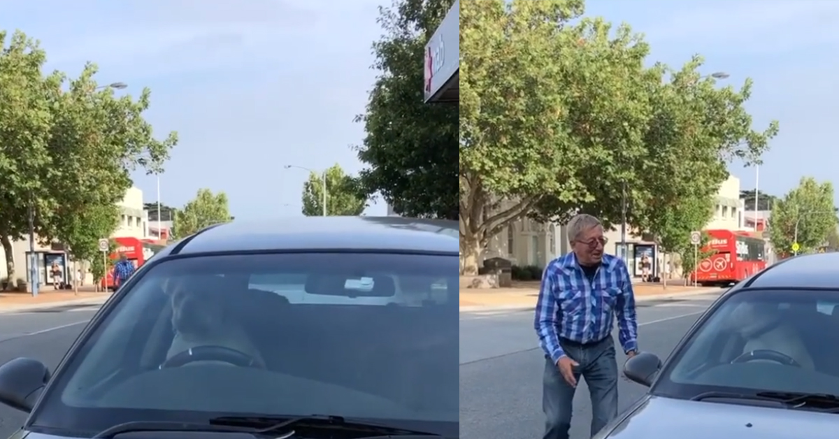Cane suona il clacson per richiamare il proprietario: il video virale