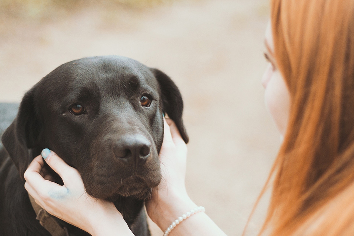 legame tra cane e uomo