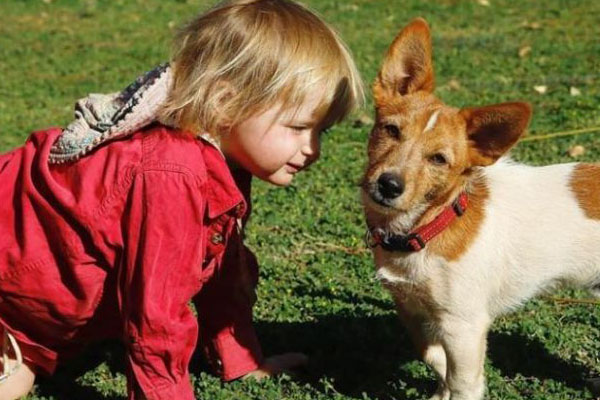 Cane con una bambina