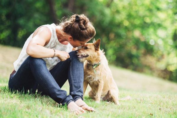 cane e donna al parco