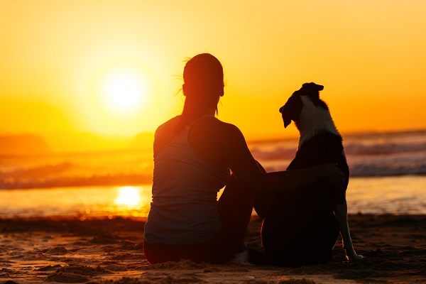 cane e ragazza in spiaggia