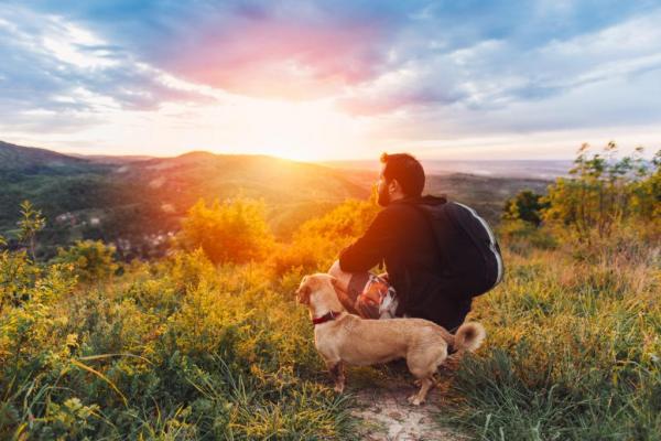 escursione con il cane