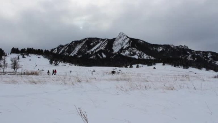 campo-ricoperto-di-neve