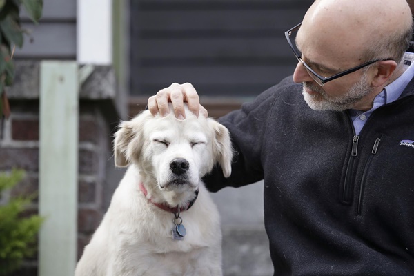 dare le carezze al cane