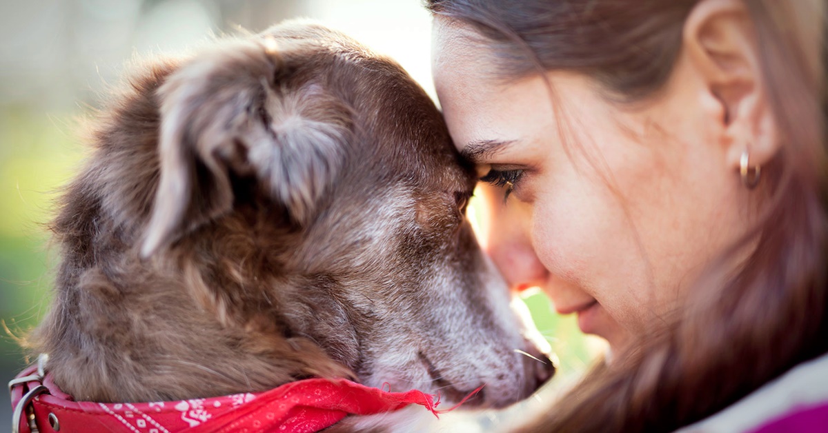 Cosa sapere sul tuo cane di 14 anni: cure, attenzioni e dettagli