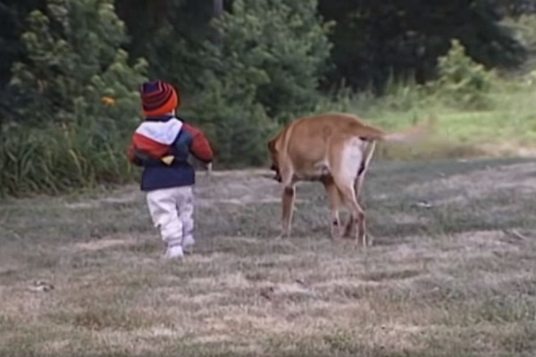 cane e bambino che corrono