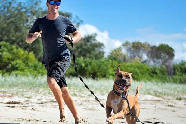 cane felice in spiaggia