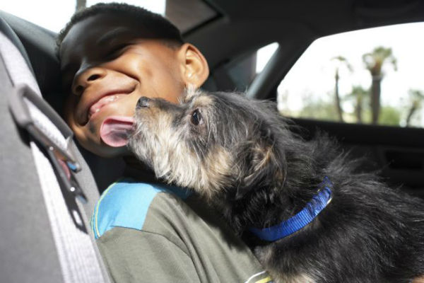 cane e bambino