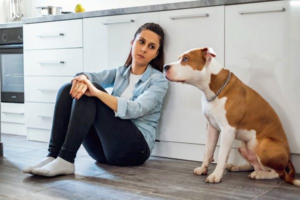 ragazza triste e arrabbiata con il cane