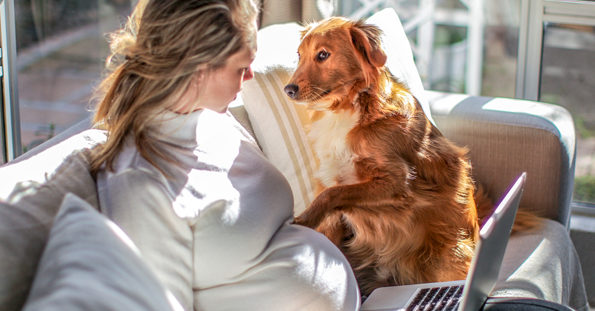 I cani possono capire se sei fertile? Percepiscono qualcosa?