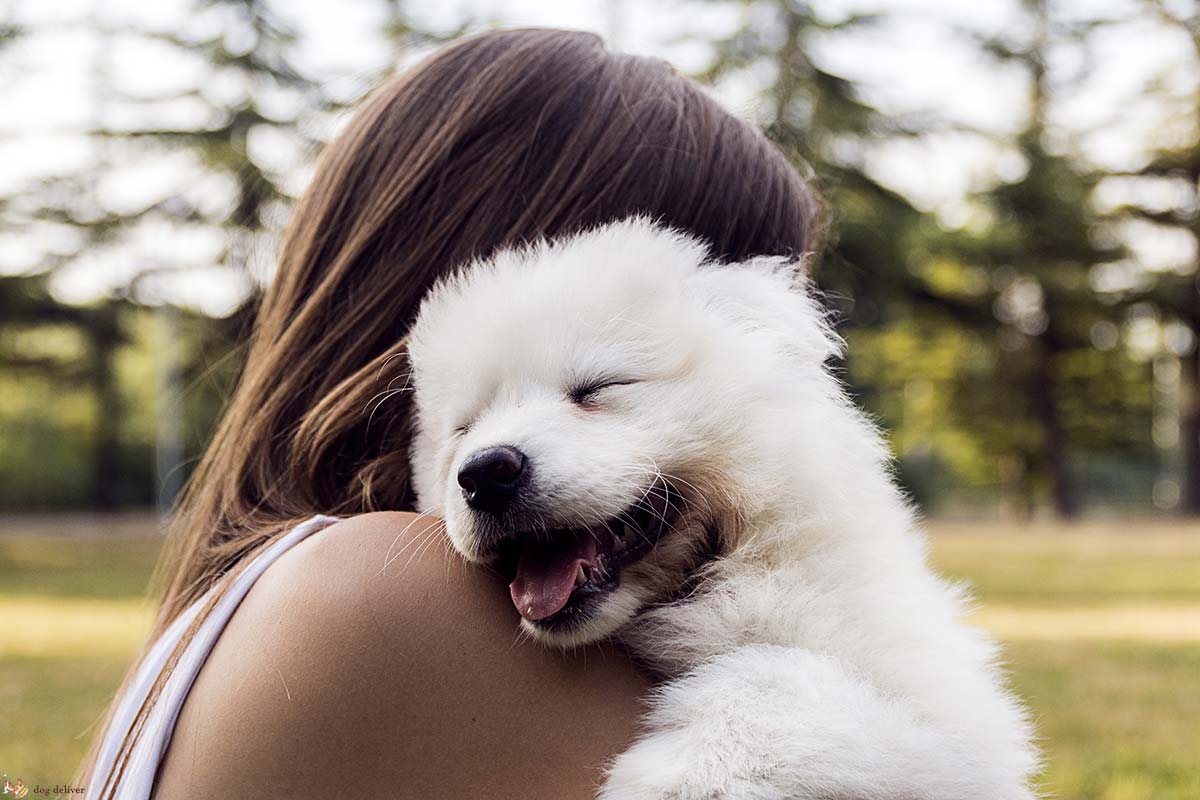 legame con cane