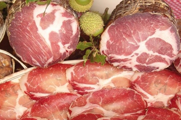 capocollo per cani