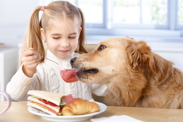 bimba dà da mangiare salame a cane