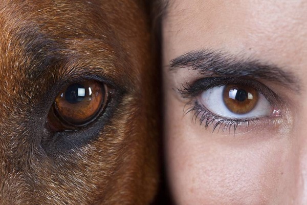 mezza faccia di cane e mezza di ragazza
