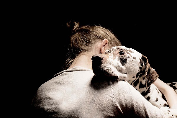 cane dalmata spaventato