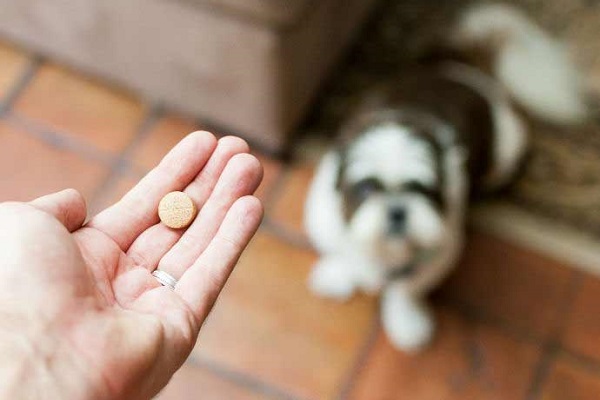 cane guarda mano con pillola