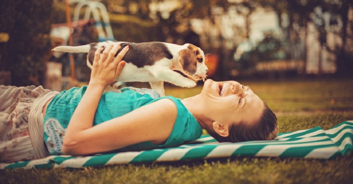 I cani possono vivere in due case diverse, o è stressante?