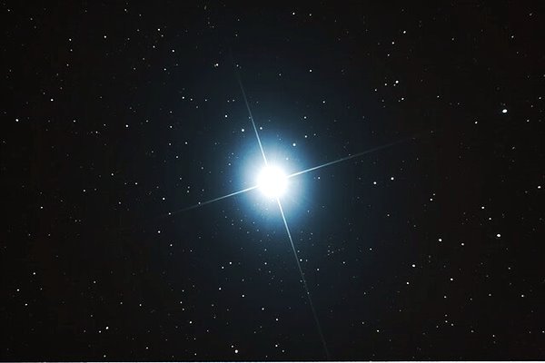 la stella del cane