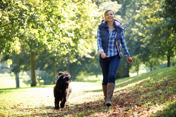 passeggiare al parco con il cane