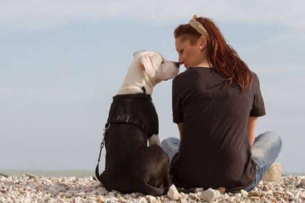 cane al mare con ragazza