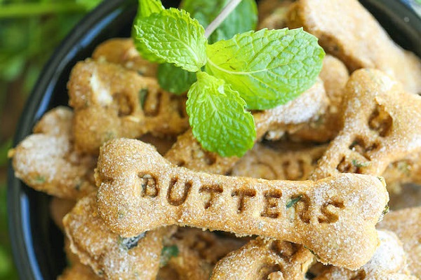 biscotti per cani con menta