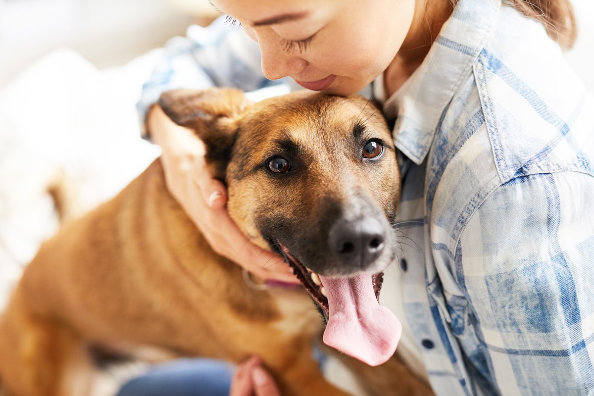 abbracciare il cane