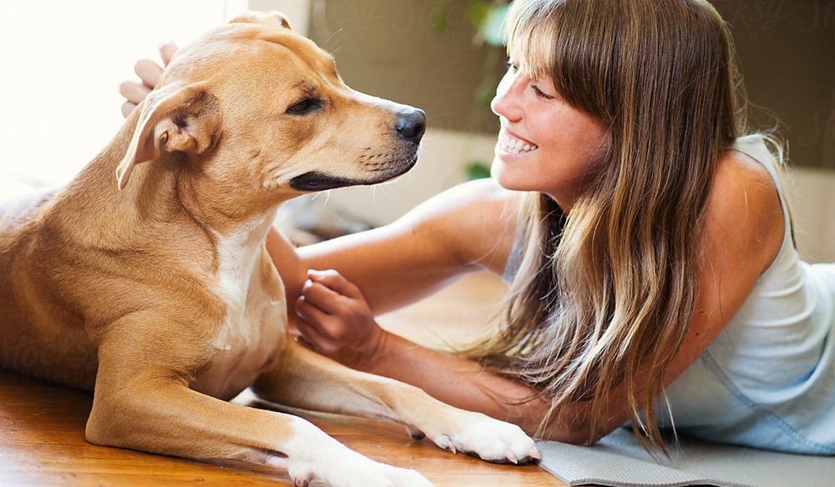 ragazza accarezza il suo cane