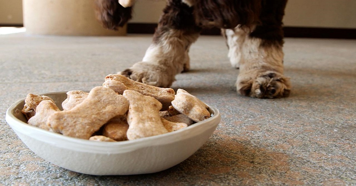 biscotti per cani