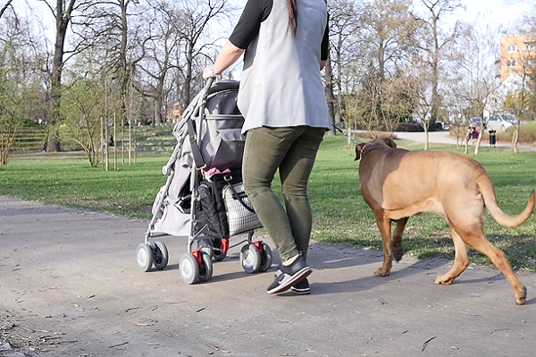 mamma con bambino e cane