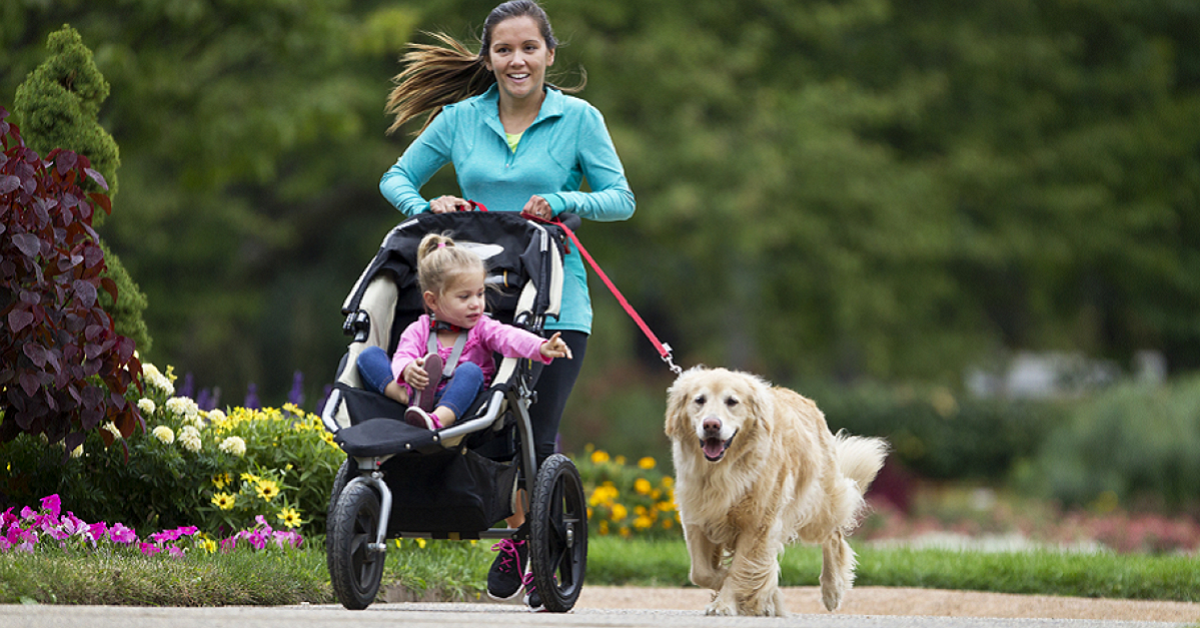 Come insegnare al cane a usare il passeggino