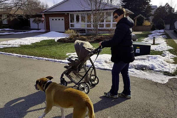 cane a passeggio con donna e bambino