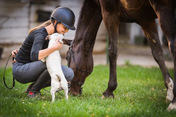 ragazza con cane e cavallo