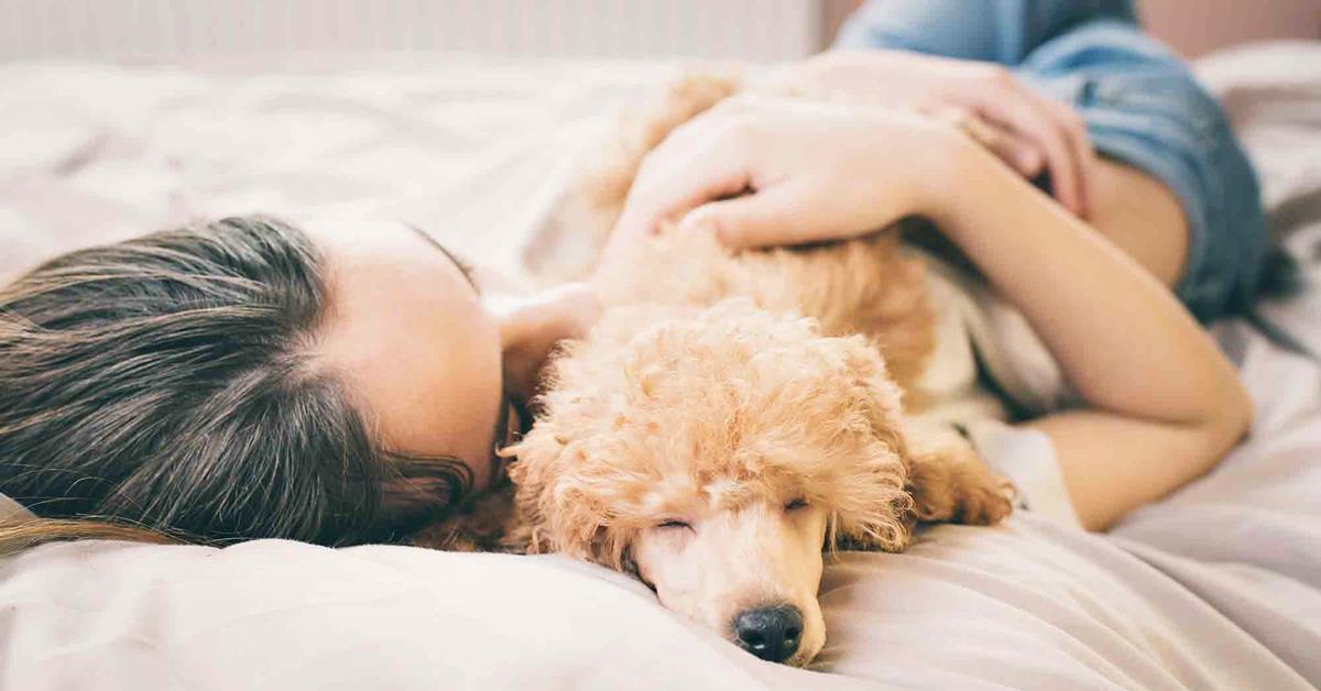 Malattia zoonotica nel cane: cos’è, diagnosi e cure