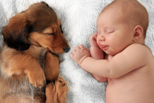 neonato e cane che dormono
