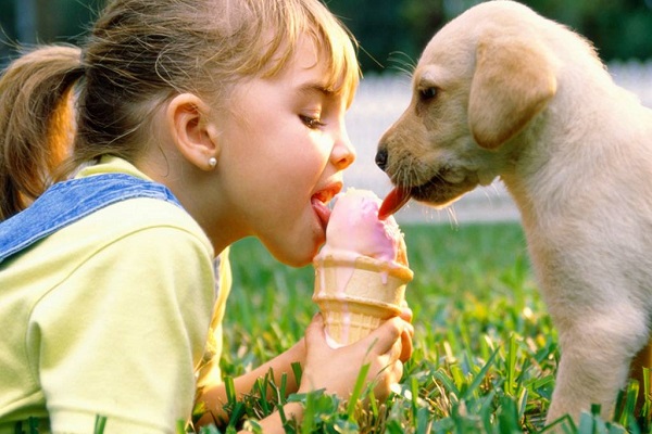 bambina, cucciolo di cane e gelato