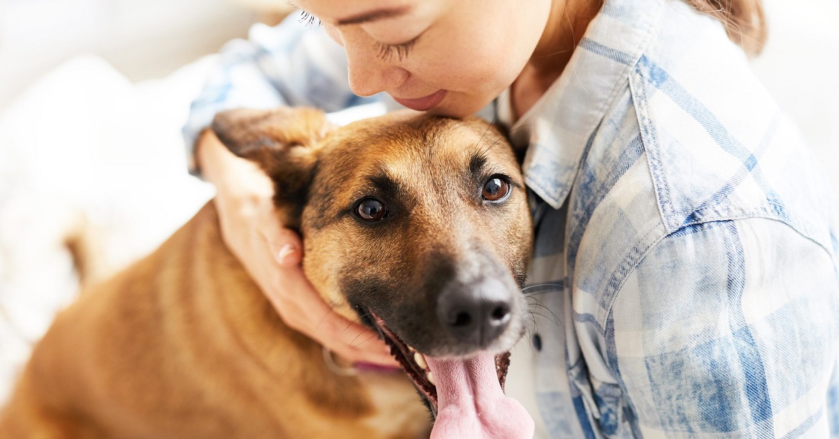 Come prendersi cura di un cane, al meglio