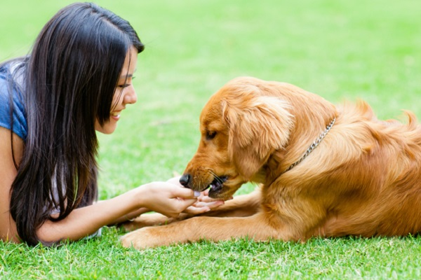 cane e ragazza al parco