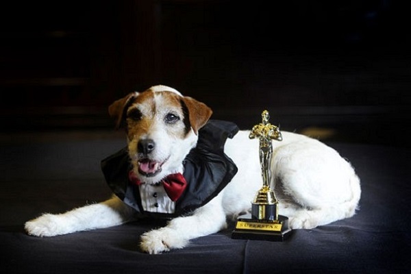 uggie, cane che ha vinto l'oscar