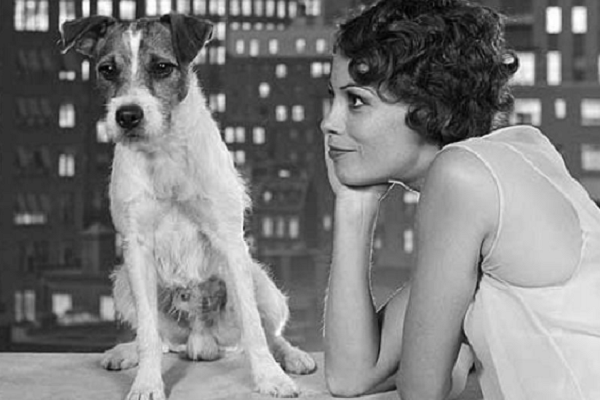 cane uggie in scena film