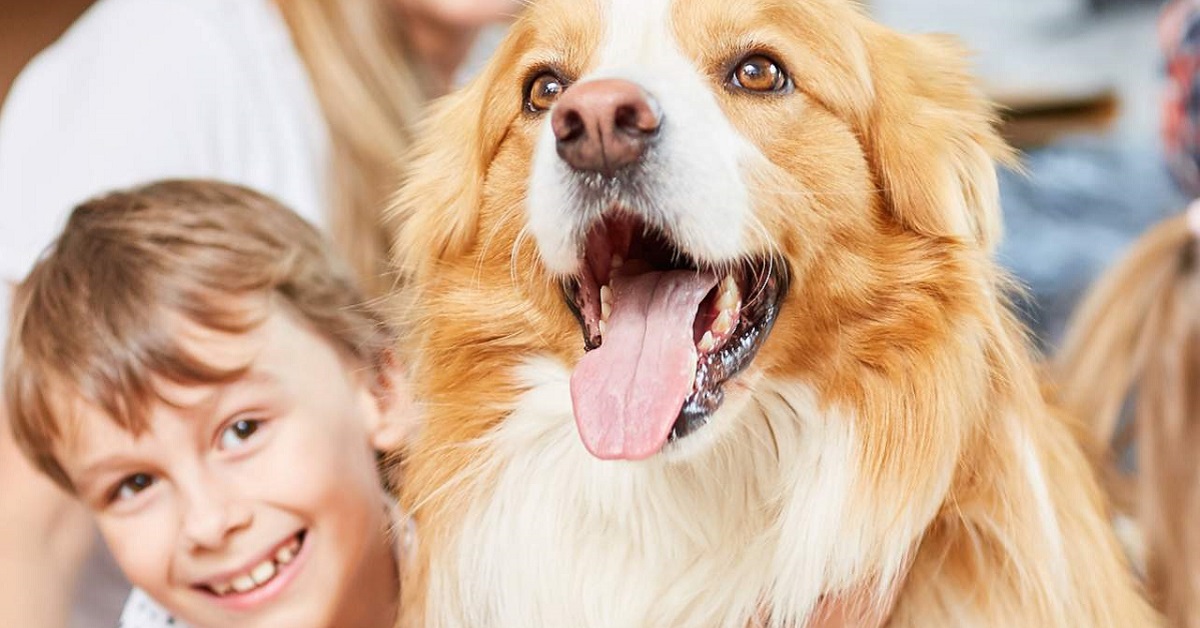 cane e bambino