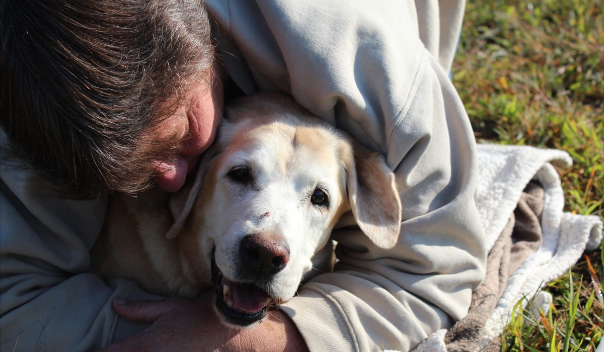 coccolare un cane anziano